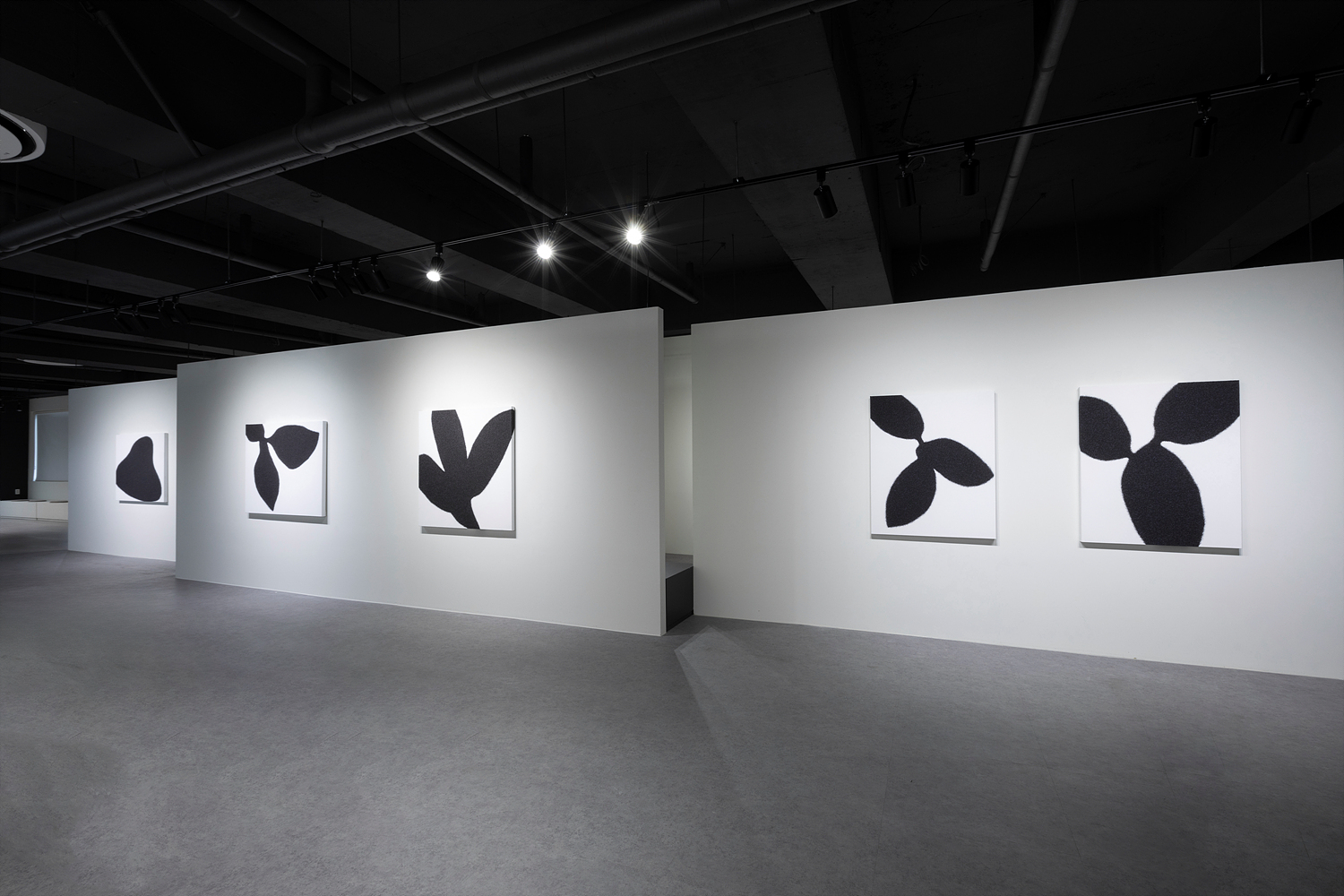 Exhibition view