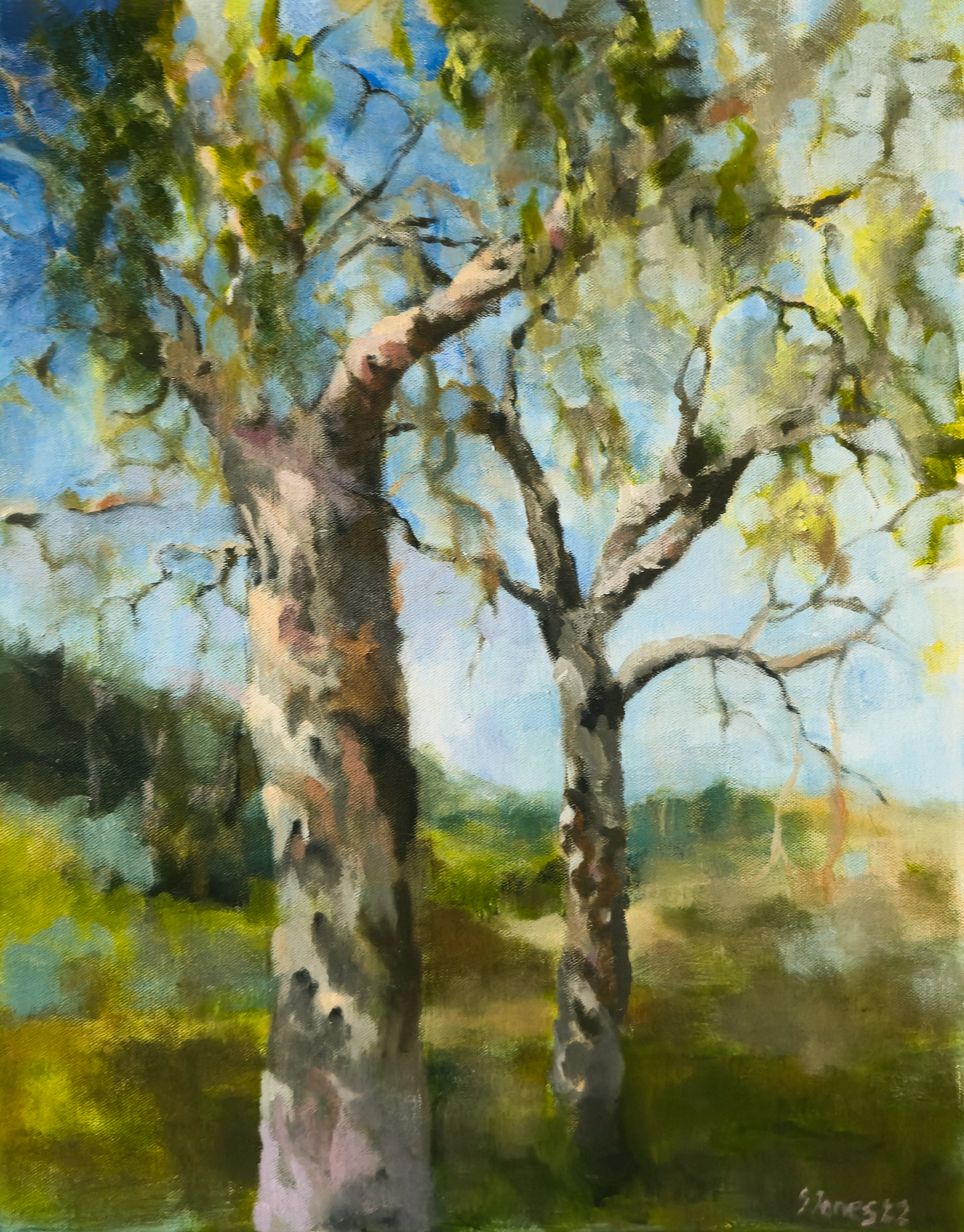 Stephen Jones, Beyond the Trees, 2026
