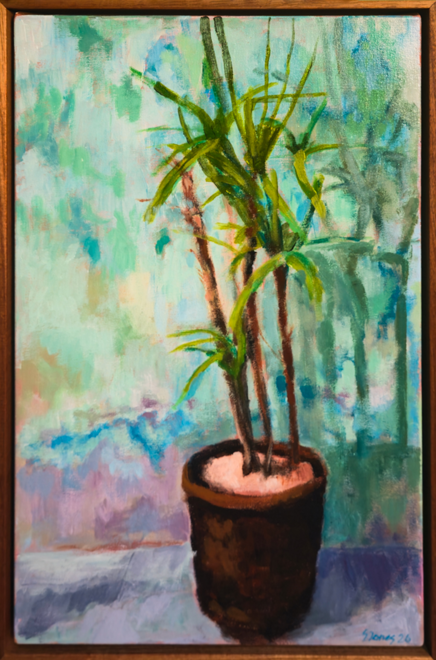 Stephen Jones, Potted Palm, 2026