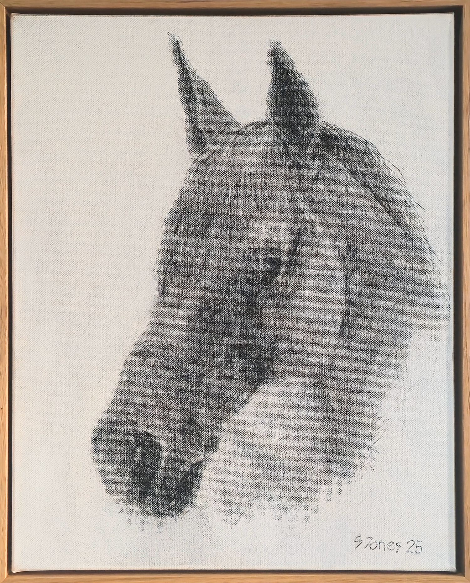 Stephen Jones, Shadow, 2025
