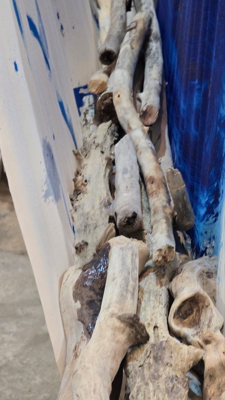 NOMADIC PARTY 2024 view 4